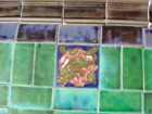 Carter & Co - Poole Pottery Tiles